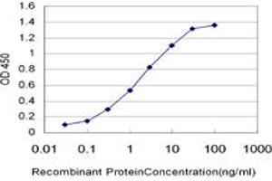 Detection limit for recombinant GST tagged ABCC6 is approximately 0. (ABCC6 antibody  (AA 831-930))