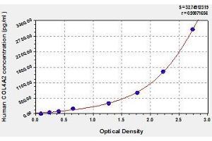 Typical standard curve (COL4a2 ELISA Kit)