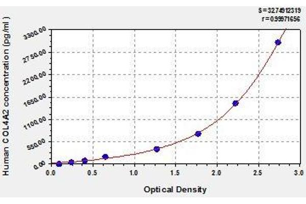 COL4a2 ELISA Kit