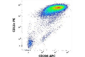 Flow cytometry multicolor surface staining pattern of human stimulated (GM-CSF + IL-4) peripheral blood mononuclear cells stained using anti-human CD206 (15-2) APC antibody (10 μL reagent per milion cells in 100 μL of cell suspension) and anti-human CD11c (BU15) PE antibody (20 μL reagent per milion cells in 100 μL of cell suspension). (Macrophage Mannose Receptor 1 antibody  (APC))