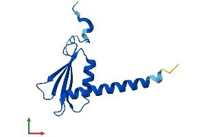 Protein Structure (PS) image for Polymerase (RNA) II (DNA Directed) Polypeptide J2 (POLR2J2) (AA 1-115) protein (His tag) (ABIN7551523)
