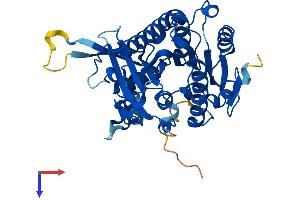 PAFAH2 Protein (AA 1-392) (His tag)