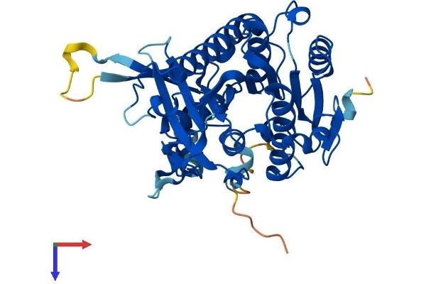 PAFAH2 Protein (AA 1-392) (His tag)