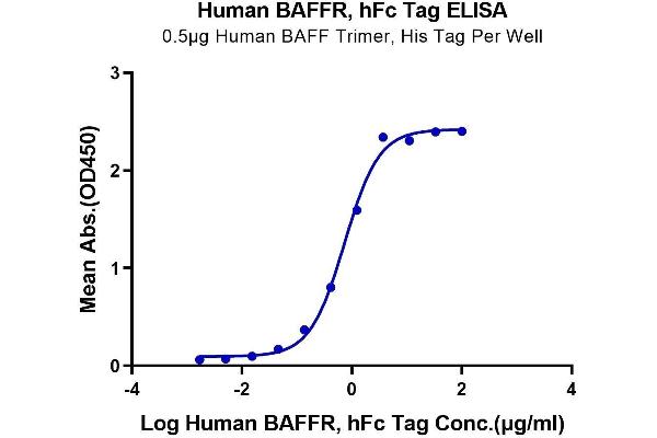 TNFRSF13C Protein (AA 7-71) (Fc Tag)