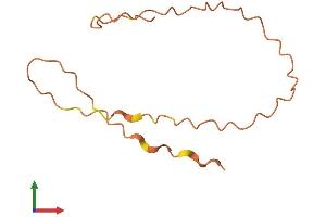 AlphaFold protein structure predicition of Human Recombinant KRTAP12-3 Protein, UniprotID P60328 (KRTAP12-3 Protein (AA 1-96) (Fc Tag))