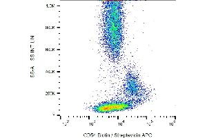 Flow cytometry analysis of CD54 in normal human peripheral blood using anti-CD54 (1H4) biotin. (ICAM1 antibody  (Biotin))
