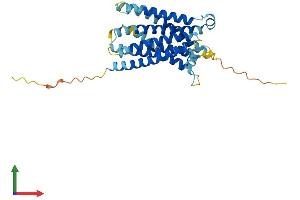 AlphaFold protein structure predicition of Mouse Recombinant Mrgprd Protein, UniprotID Q91ZB8