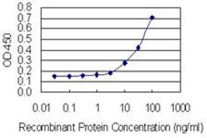 Detection limit for recombinant GST tagged CLUAP1 is 3 ng/ml as a capture antibody. (CLUAP1 antibody  (AA 1-247))