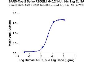 Immobilized SARS-Cov-2 Spike RBD(B. (SARS-CoV-2 Spike Protein (B.1.640, RBD) (His tag))
