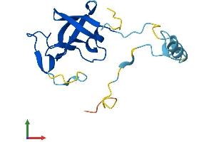AlphaFold protein structure predicition of Human Recombinant ERVK-7 Protein, UniprotID P63131 (ERVK-7 Protein (AA 1-156) (His tag))