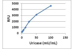 Uricase Standard Curve. (Uric Acid/Uricase Assay Kit)