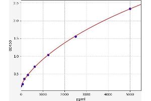 Typical standard curve (CCR4 ELISA Kit)