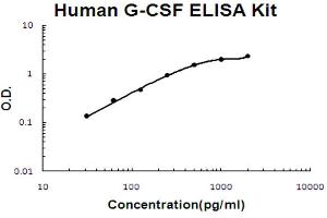 Human G-CSF Accusignal ELISA Kit Human G-CSF AccuSignal ELISA Kit standard curve. (G-CSF ELISA Kit)