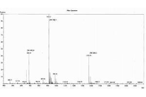 Image no. 1 for Urocortin 1 (UCN1) peptide (Ovalbumin) (ABIN5666401)