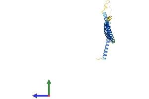 Protein Structure (PS) image for Suppressor of IKBKE 1 (SIKE1) (AA 1-207) protein (His tag) (ABIN7546004)