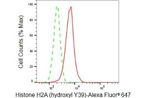 Flow cytometric analysis of Histone H2A (hydroxyl Y39) expression in HepG2 cells using Histone H2A (hydroxyl Y39) antibody (ABIN7798941), 1:2,000). (Recombinant Histone H2A antibody  (H2AY39oh))