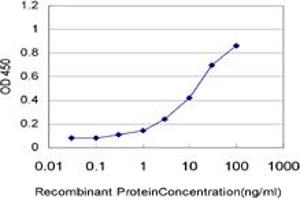 Detection limit for recombinant GST tagged CSNK1G1 is approximately 0. (CSNK1G1 antibody  (AA 293-393))