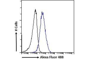 (ABIN5539467) Flow cytometric analysis of paraformaldehyde fixed HeLa cells (blue line), permeabilized with 0. (Aryl Hydrocarbon Receptor antibody  (Internal Region))