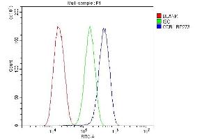 Flow Cytometry analysis of U87 cells using anti-CRB1 antibody (ABIN6719658). (CRB1 antibody)