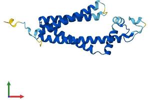 AlphaFold protein structure predicition of Human Recombinant TSPAN13 Protein, UniprotID O95857 (TSPAN13 Protein (AA 1-204) (His tag))