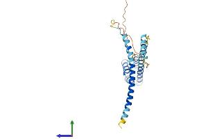 AlphaFold protein structure predicition of Human Recombinant CCDC43 Protein, UniprotID Q96MW1 (CCDC43 Protein (AA 1-224) (His tag))