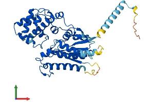 AlphaFold protein structure predicition of Human Recombinant GNA15 Protein, UniprotID P30679 (GNA15 Protein (AA 1-374) (His tag))