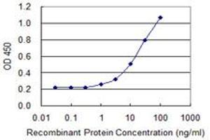 Detection limit for recombinant GST tagged SLC9A3R1 is 0. (SLC9A3R1 antibody  (AA 252-358))