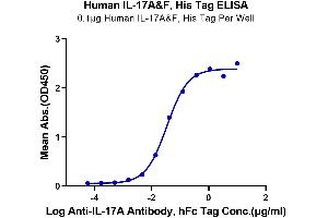 Immobilized Human IL-17A&F, His Tag at 1 μg/mL (100 μL/well) on the plate. (IL-17A/F Protein (AA 24-155) (His tag))