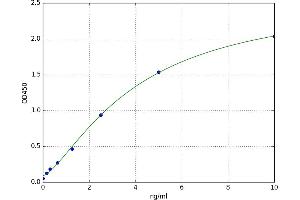 Casein Kinase 2 alpha 1 (CSNK2A1) ELISA Kit