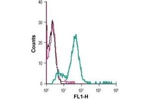 Cell surface detection of GPR56 in live intact mouse BV-2 microglia cells: (black line) Cells. (Adhesion G Protein-Coupled Receptor G1 (ADGRG1) (AA 86-109), (Extracellular) antibody (FITC))