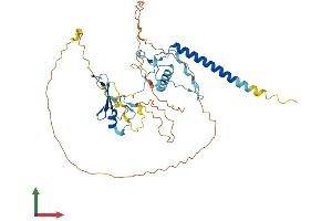 AlphaFold protein structure predicition of Mouse Recombinant Mbd2 Protein, UniprotID Q9Z2E1