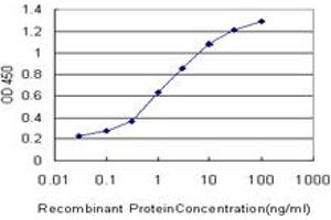 ELISA image for anti-BMP2 Inducible Kinase (BMP2K) (AA 540-650) antibody (ABIN527577)