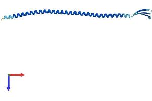 AlphaFold protein structure predicition of Mouse Recombinant Iqcf5 Protein, UniprotID Q9DAL7