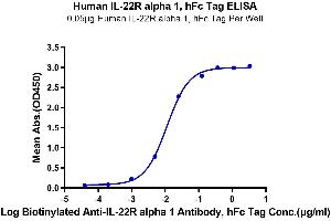Immobilized Human IL-22R alpha 1, hFc Tag at 0. (IL22 Receptor alpha 1 Protein (AA 16-228) (Fc Tag))