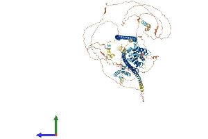 AlphaFold protein structure predicition of Mouse Recombinant Tsc1 Protein, UniprotID Q9EP53 (TSC1 Protein (AA 1-1161) (His tag))
