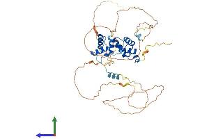 Protein Structure (PS) image for Paired Box Gene 2a (PAX2A) (AA 1-414) protein (His tag) (ABIN7563128)