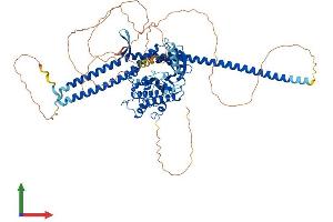 AlphaFold protein structure predicition of Mouse Recombinant Tlk1 Protein, UniprotID Q8C0V0 (TLK1 Protein (AA 1-766) (His tag))