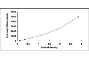 TCN2 ELISA Kit