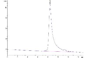 The purity of SARS-COV-2 Spike RBD (N501Y) is greater than 95 % as determined by SEC-HPLC. (SARS-CoV-2 Spike Protein (N501Y, RBD) (His tag))