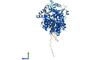AlphaFold protein structure predicition of Mouse Recombinant Dhx32 Protein, UniprotID Q8BZS9 (DHX32 Protein (AA 1-744) (His tag))