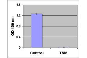 Protein Nitration by Tetranitromethane using the OxiSelect™ Nitrotyrosine ELISA Kit. (Nitrotyrosine ELISA Kit)