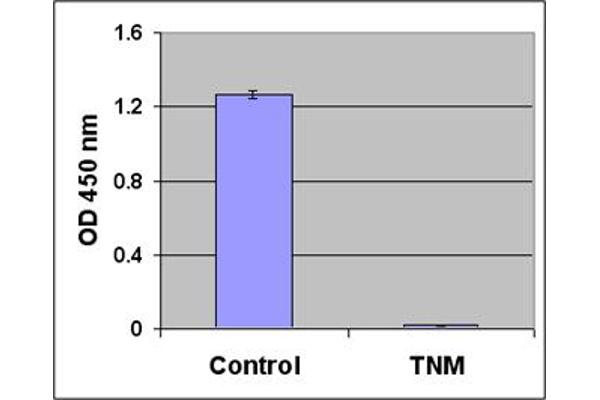 Nitrotyrosine ELISA Kit