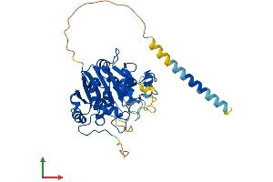 AlphaFold protein structure predicition of Mouse Recombinant Glt8d1 Protein, UniprotID Q6NSU3