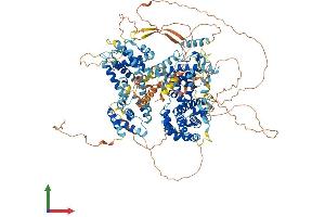 Protein Structure (PS) image for Retinoblastoma-Like 2 (p130) (RBL2) (AA 1-1135) protein (His tag) (ABIN7563993)
