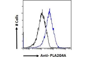 ABIN571180 Flow cytometric analysis of paraformaldehyde fixed A549 cells (blue line), permeabilized with 0. (PLA2G4A antibody  (Internal Region))