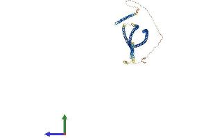 AlphaFold protein structure predicition of Human Recombinant CEP63 Protein, UniprotID Q96MT8 (CEP63 Protein (AA 1-703) (His tag))