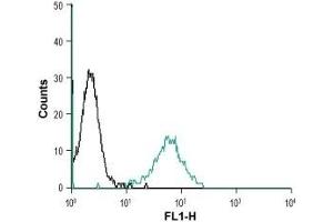 Cell surface detection of RAMP2 in live intact mouse J774 macrophage cells: (black line) Cells. (RAMP2 antibody  (Extracellular, N-Term))