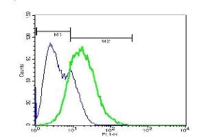 Flow Cytometry (FACS) image for anti-EPH Receptor A7 (EPHA7) (AA 181-280) antibody (ABIN722005)