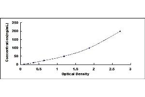 Typical standard curve (Surfactant Protein A1 ELISA Kit)