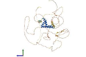 Protein Structure (PS) image for Transcription Factor 7-Like 1 (T-Cell Specific, HMG-Box) (TCF7L1) (AA 1-588) protein (His tag) (ABIN7555740)